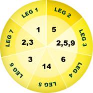 Scoop6 Example